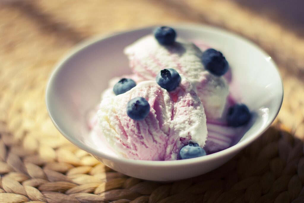 bowl, ice cream, dessert, food, nature, sweet, cold, delicious, ice cream scoop, refreshment, tasty, summer, flavor, taste, diet, blueberries