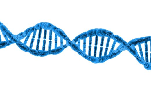 dna, biology, science, dna helix, protein, molecule, molecular structure, chromosome, spiral, microbiology, deoxyribonucleic acid, 3d, render, isolated, dna, dna, dna, dna, dna