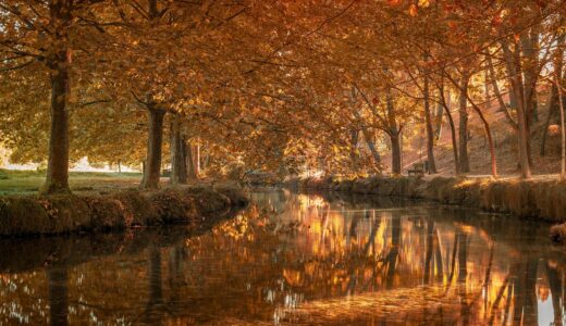 forest, river, autumn, woods, fall, nature, lake, landscape, caravaca de la cruz, spain, forest, forest, forest, river, river, river, autumn, autumn, fall, nature, nature, nature, nature, nature, landscape, landscape, landscape, spain, spain, spain