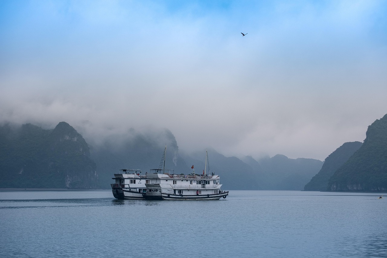 halongbay, nature, ha long bay, ha long viet nam, travel, vietnam, sapa, lan ha, lan ha bay, cat dad, sea