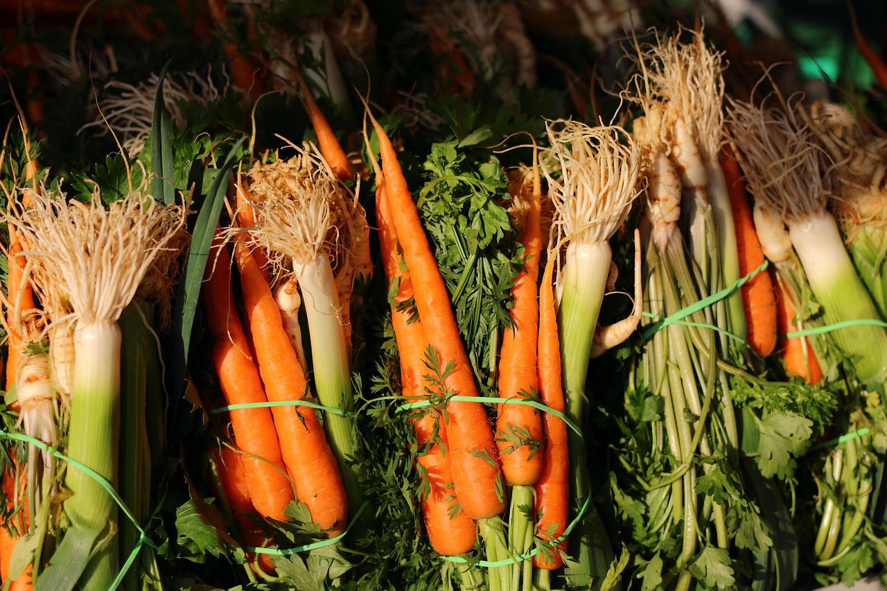 italian, vegetables, carrot, cf, parsley, soup, nature, kitchen, plants