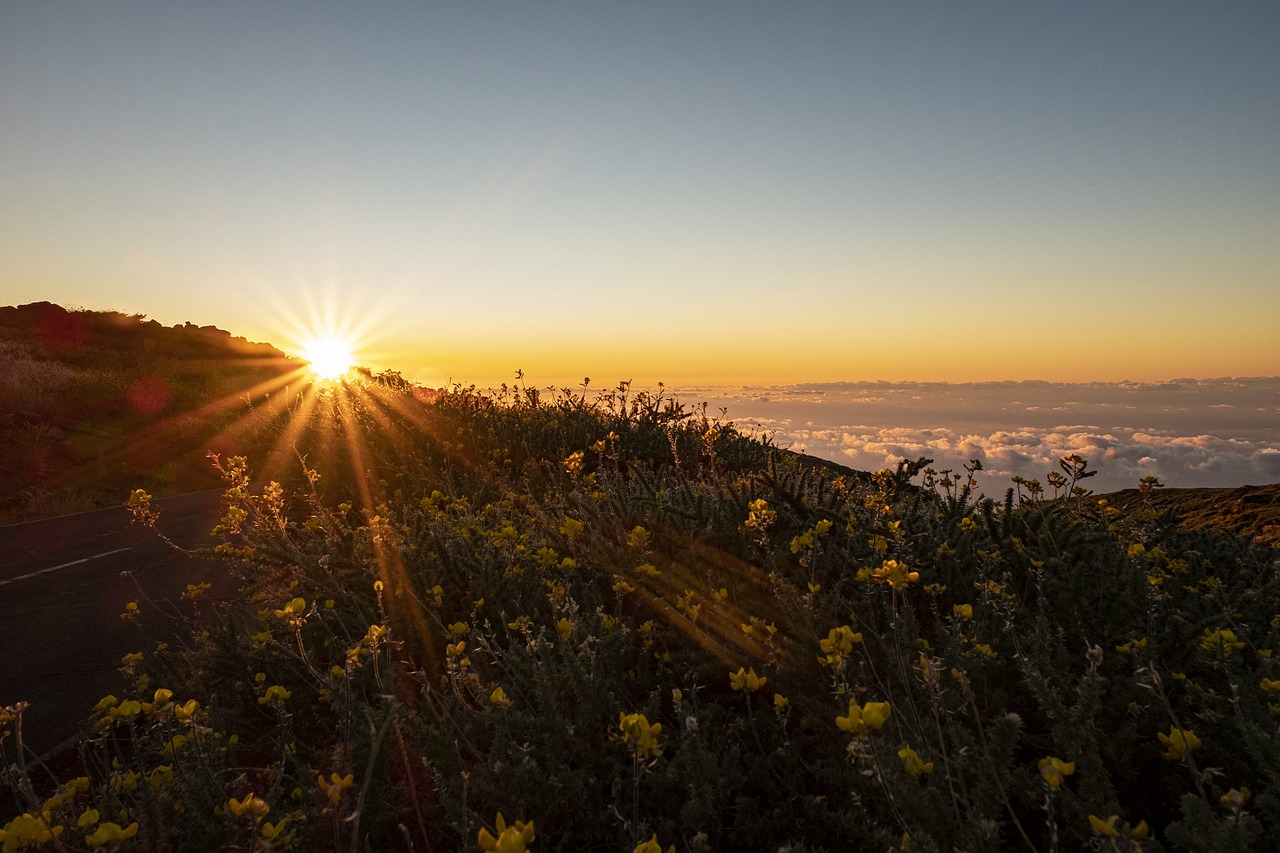 canary islands, la palma, spain, heaven, landscape, clouds, nature, hike, island, afterglow, roches de la muchachos
