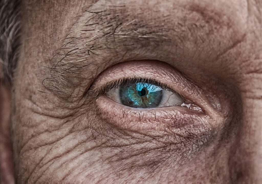 skin, eye, iris, blue, older, folds, wrinkled skin, man, face, portrait, human, old, green, eyebrow, lid, people, character, view, focus, focused, pupil, eyesight, lens, visually, watch, look at, see, vision, visionary, skin, eye, eye, eye, eye, eye, man, man, human, old, people, people, people