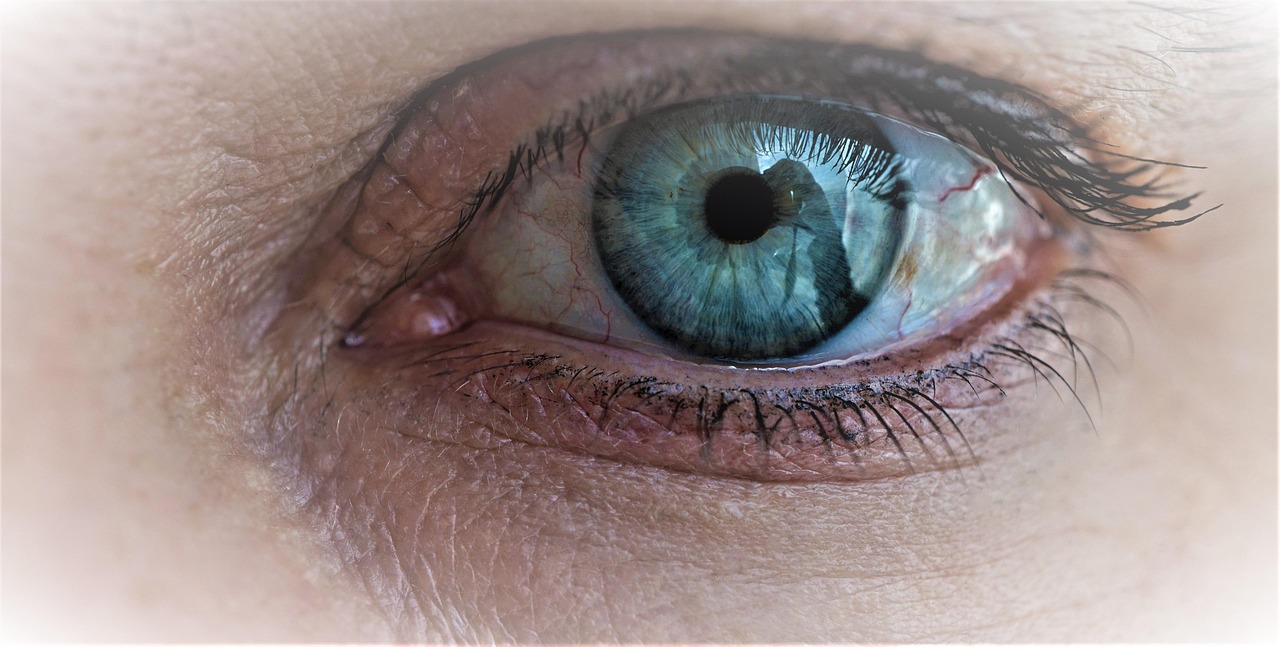 eye, green, woman, human, female, best ager, folds, veins, pupil, eyelashes, rainbow skin, eyeball, iris, glittering, camera, reflection, see, mirror image, self-portrait, selfie, radiant, bright, focus, macro, eyeball, eyeball, eyeball, see, mirror image, selfie, selfie, selfie, selfie, selfie