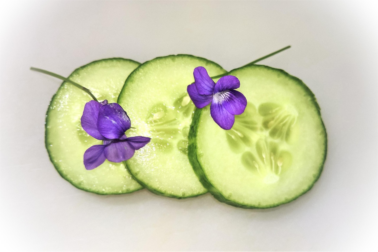 cucumber, vegetables, cucumber slices, meal, salad, nourishment, fresh, healthy, vegan, green, refreshing, tasty, cucumber, cucumber, cucumber, cucumber, cucumber, vegan